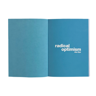 Radical Optimism | handwritten album notebook