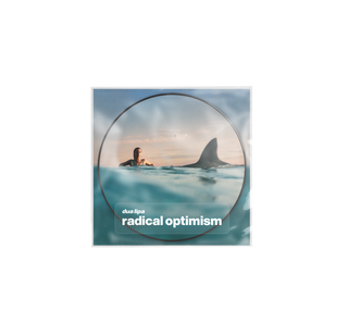 Radical Optimism | Picture Disc